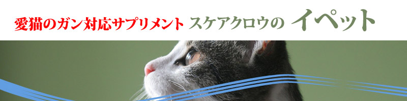 イペットは猫のガン対応サプリ情報サイト